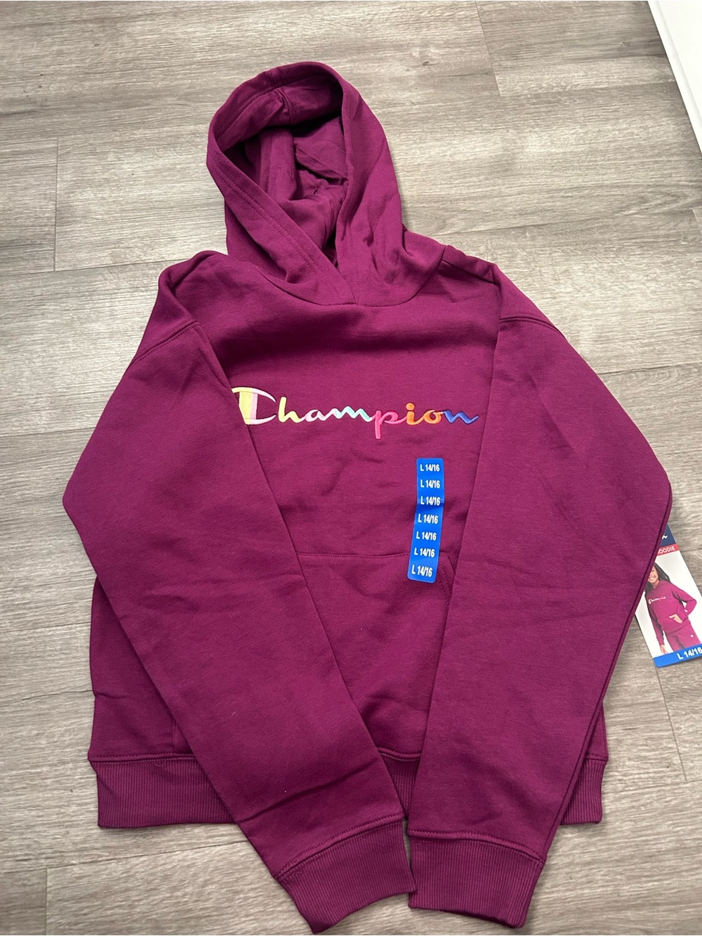 Champion Kids Hoodie - Plum with Multicolor Logo